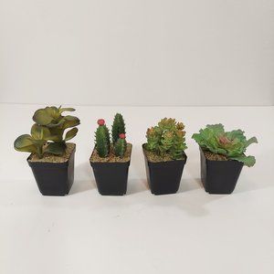 4 Small Artificial Plants in Black Pots